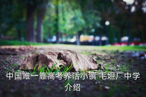 毛坦厂学区房房价多少