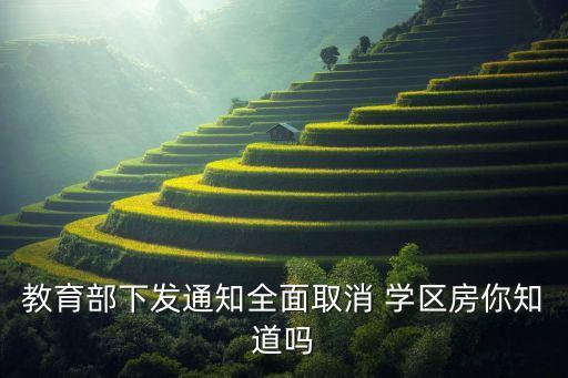 学区房为什么不取缔了呀,为什么一定要学区房才能入学