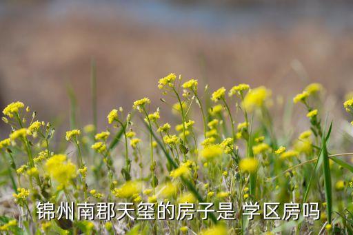 锦州新的学区房有哪些楼盘