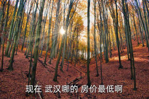 现在 武汉哪的 房价最低啊
