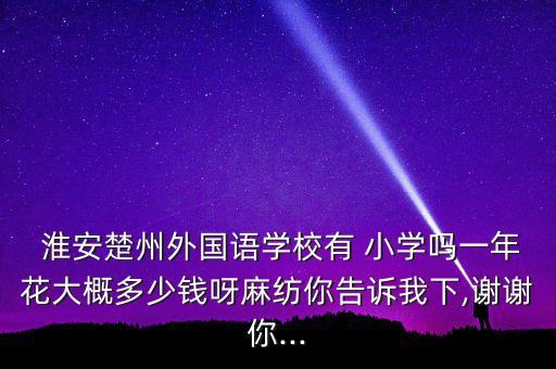  淮安楚州外国语学校有 小学吗一年花大概多少钱呀麻纺你告诉我下,谢谢你...