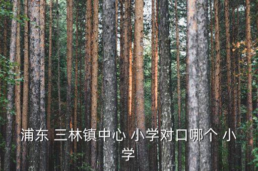 三林什么小学最好的学区房