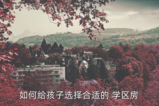 如何给孩子选择合适的 学区房