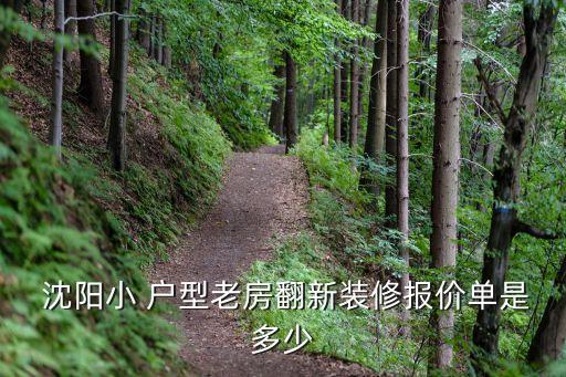  沈阳小 户型老房翻新装修报价单是多少