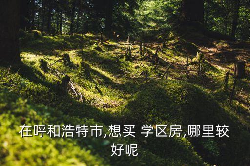 在呼和浩特市,想买 学区房,哪里较好呢