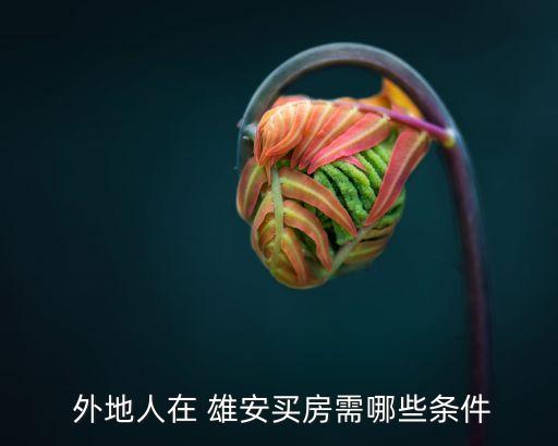  外地人在 雄安买房需哪些条件