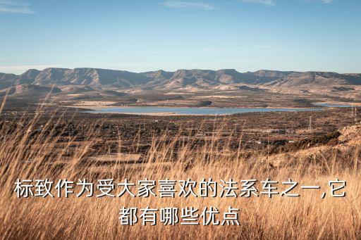 买学区房都开什么车子适合