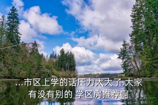 ...市区上学的话压力太大了,大家有没有别的 学区房推荐啊
