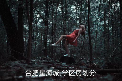 合肥星海城 学区房划分