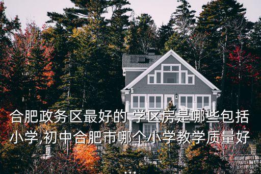 合肥政务区最好的 学区房是哪些包括小学,初中合肥市哪个小学教学质量好...