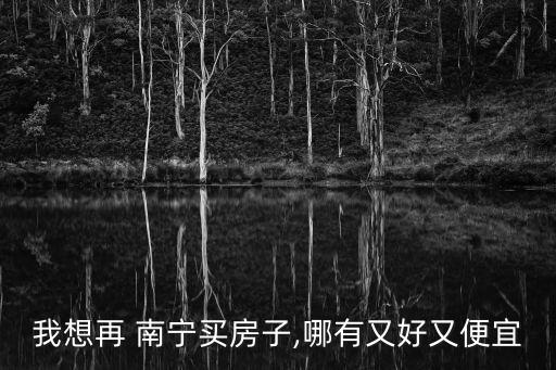 我想再 南宁买房子,哪有又好又便宜