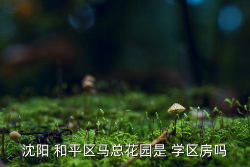 沈阳 和平区马总花园是 学区房吗