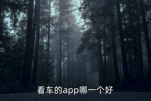 看车的app哪一个好