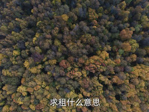  求租什么意思