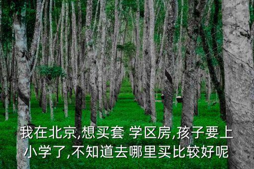 镇雄好的学区房在哪里