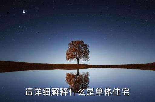 请详细解释什么是单体住宅