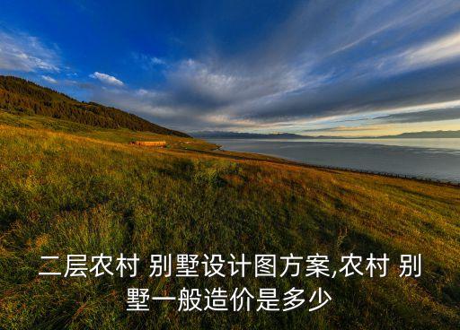 二层农村 别墅设计图方案,农村 别墅一般造价是多少