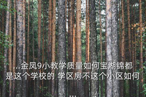 ...金凤9小教学质量如何宝湖锦都是这个学校的 学区房不这个小区如何...