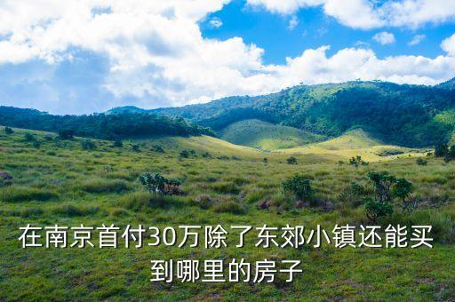 在南京首付30万除了东郊小镇还能买到哪里的房子