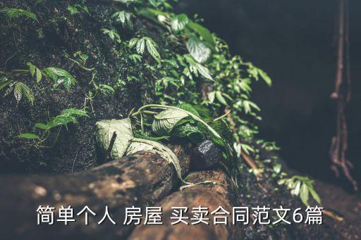 简单个人 房屋 买卖合同范文6篇
