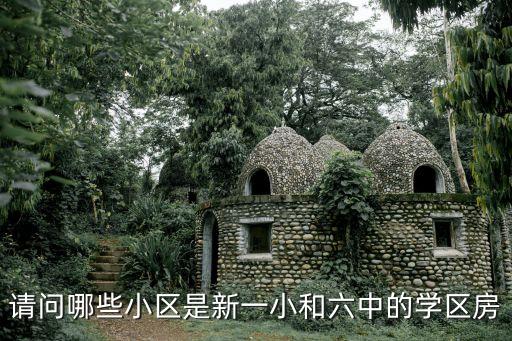 请问哪些小区是新一小和六中的学区房
