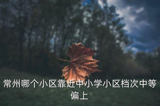 常州哪个区学区房最好，常州哪个小区靠近中小学小区档次中等偏上