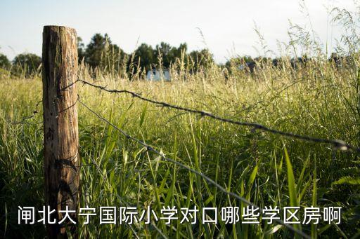 闸北大宁国际小学对口哪些学区房啊