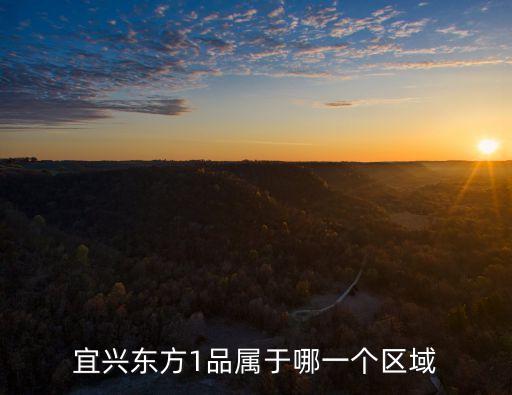 东方一品是哪个学区房，宜兴东方1品属于哪一个区域