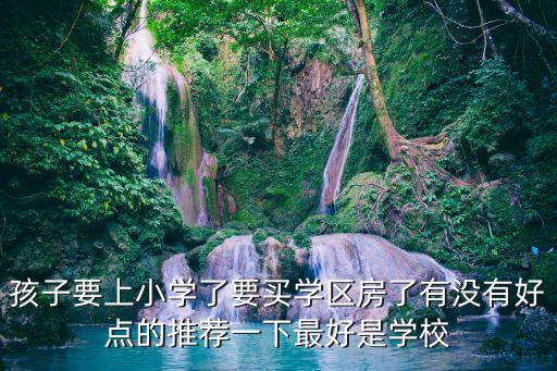 孩子要上小学了要买学区房了有没有好点的推荐一下最好是学校