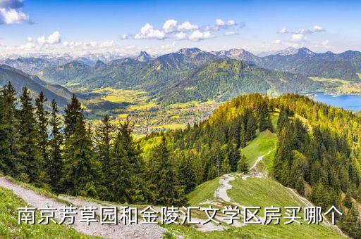 南京芳草园和金陵汇文学区房买哪个