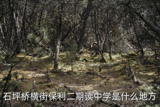 石坪桥横街保利二期读中学是什么地方