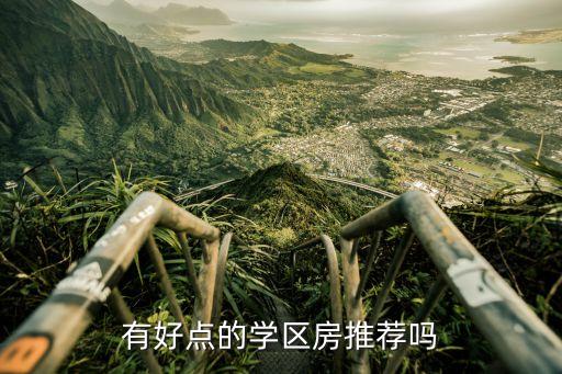 有好点的学区房推荐吗