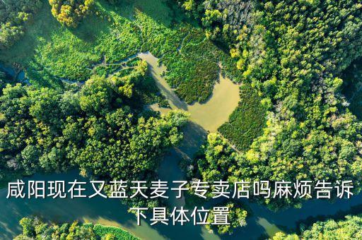 咸阳现在又蓝天麦子专卖店吗麻烦告诉下具体位置