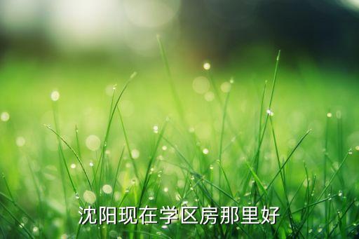 沈阳现在学区房那里好