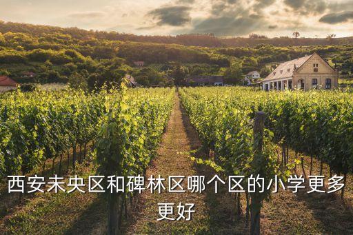 西安的学区房哪个好，西安未央区和碑林区哪个区的小学更多更好