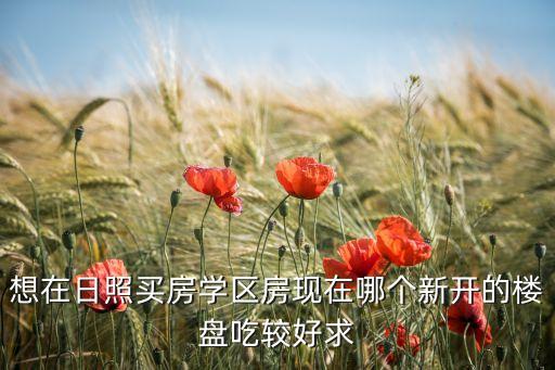 想在日照买房学区房现在哪个新开的楼盘吃较好求