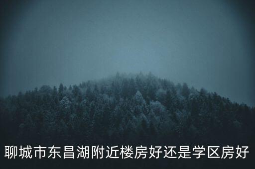 聊城市东昌湖附近楼房好还是学区房好