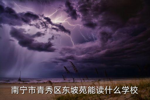 南宁市青秀区东坡苑能读什么学校