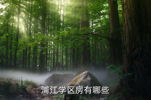 上海浦江哪个学区房好卖，浦江学区房有哪些