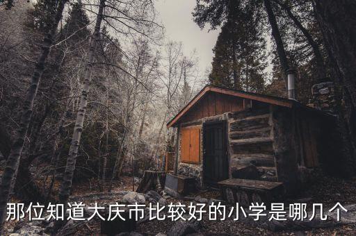 那位知道大庆市比较好的小学是哪几个