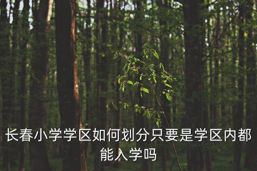 长春小学学区如何划分只要是学区内都能入学吗