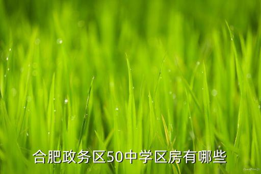 合肥政务区50中学区房有哪些