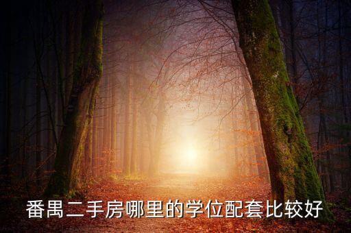番禺二手房哪里的学位配套比较好