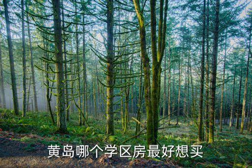 石桥区学区房哪个好，黄岛哪个学区房最好想买