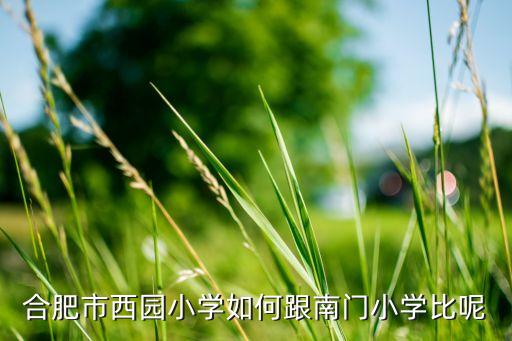 合肥市西园小学如何跟南门小学比呢