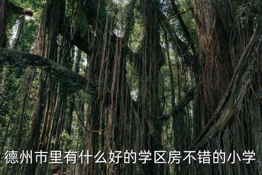 德州哪个小区学区房好，德州实验小学学区房有哪些高分急