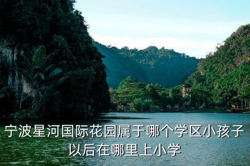 宁波学区房选哪个区，宁波星河国际花园属于哪个学区小孩子以后在哪里上小学