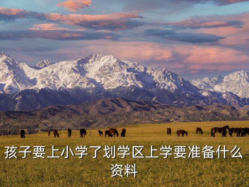 孩子要上小学了划学区上学要准备什么资料