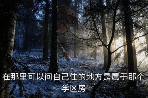 在那里可以问自己住的地方是属于那个学区房