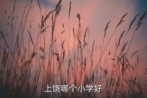 上饶哪个小学好